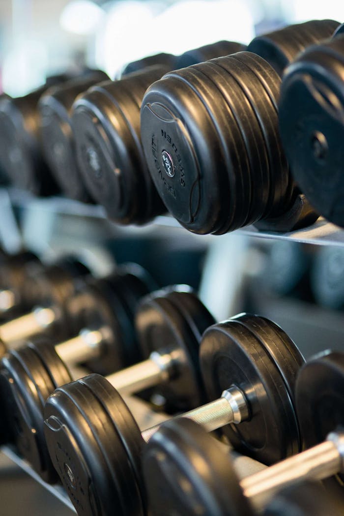 gallery-06 Close-up view of black dumbbells neatly arranged on a rack in a gym.